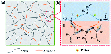 Graphical abstract: Nitrile functionalized graphene oxide for highly selective sulfonated poly(arylene ether nitrile)-based proton-conducting membranes