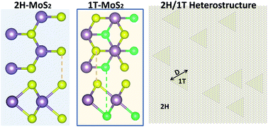 Graphical abstract: Multiscale modelling of heat conduction in all-MoS2 single-layer heterostructures