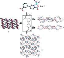 Graphical abstract: Six new coordination compounds based on rigid 5-(3-carboxy-phenyl)-pyridine-2-carboxylic acid: synthesis, structural variations and properties