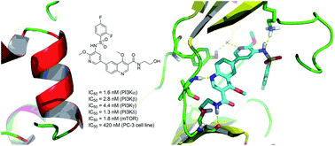 Graphical abstract: Identification of 3-amidoquinoline derivatives as PI3K/mTOR dual inhibitors with potential for cancer therapy