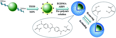 Graphical abstract: A label-free detection of diethylstilbestrol based on molecularly imprinted polymer-coated upconversion nanoparticles obtained by surface grafting