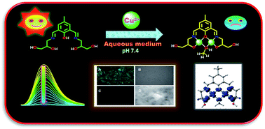 Graphical abstract: A highly selective “ON–OFF” probe for colorimetric and fluorometric sensing of Cu2+ in water