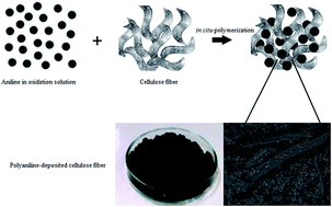 Graphical abstract: Polyaniline-deposited cellulose fiber composite prepared via in situ polymerization: enhancing adsorption properties for removal of meloxicam from aqueous media