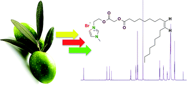 Graphical abstract: Sustainable oleic and stearic acid based biodegradable surfactants