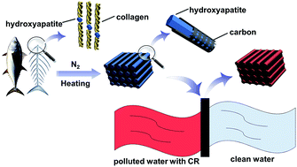 Graphical abstract: Carbon-containing bone hydroxyapatite obtained from tuna fish bone with high adsorption performance for Congo red