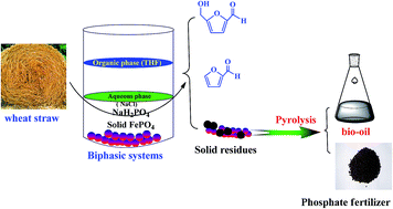 Graphical abstract: Efficient conversion of wheat straw into furan compounds, bio-oils, and phosphate fertilizers by a combination of hydrolysis and catalytic pyrolysis