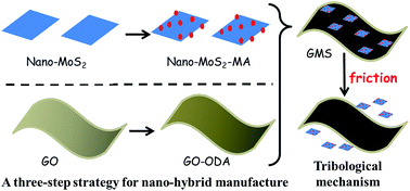Graphical abstract: Preparation and tribological properties of graphene oxide/nano-MoS2 hybrid as multidimensional assembly used in the polyimide nanocomposites