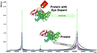Graphical abstract: Application of dyes as doping agents in MALDI-MS matrices for the signal enhancement of proteins