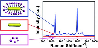 Graphical abstract: An ultrasensitive near-infrared satellite SERS sensor: DNA self-assembled gold nanorod/nanospheres structure