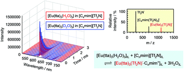 Graphical abstract: Role of Tf2N− anions in the ionic liquid–water distribution of europium(iii) chelates