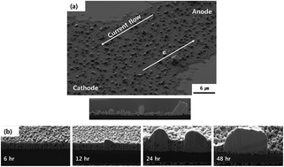 Graphical abstract: Current-induced morphological evolution and reliability of Ag interconnects fabricated by a printing method based on nanoparticles