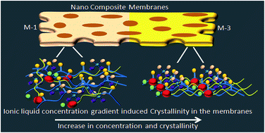 Graphical abstract: Synthesis and characterization of a tin(iv) antimonophosphate nano-composite membrane incorporating 1-dodecyl-3-methylimidazolium bromide ionic liquid