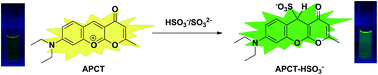 Graphical abstract: A novel ratiometric fluorescent probe for selective detection of bisulfite in living cells