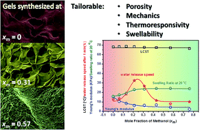 Graphical abstract: Random copolymer gels of N-isopropylacrylamide and N-ethylacrylamide: effect of synthesis solvent compositions on their properties