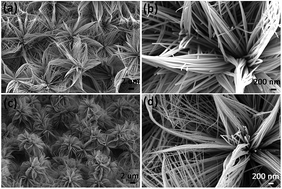 Graphical abstract: High-rate-capability asymmetric supercapacitor device based on lily-like Co3O4 nanostructures assembled using nanowires