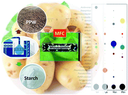 Graphical abstract: Biological degradation of potato pulp waste and microbial community structure in microbial fuel cells