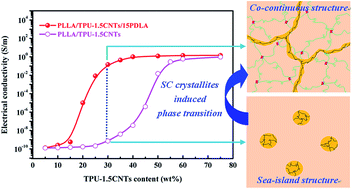 Graphical abstract: Achieving a low electrical percolation threshold and superior mechanical performance in poly(l-lactide)/thermoplastic polyurethane/carbon nanotubes composites via tailoring phase morphology with the aid of stereocomplex crystallites