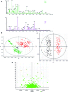 Graphical abstract: Exploration of metabolite signatures using high-throughput mass spectrometry coupled with multivariate data analysis