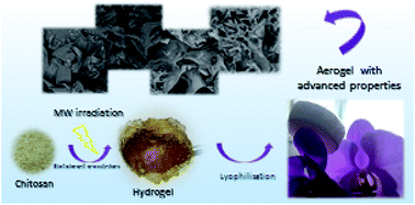 Graphical abstract: Biodegradable, pH-responsive chitosan aerogels for biomedical applications