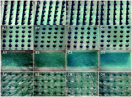 Graphical abstract: Fabrication of two-layer dissolving polyvinylpyrrolidone microneedles with different molecular weights for in vivo insulin transdermal delivery