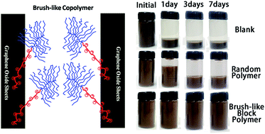 Graphical abstract: Brush-like block copolymer synthesized via RAFT polymerization for graphene oxide aqueous suspensions