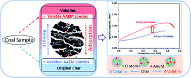 Graphical abstract: Importance of volatile AAEM species to char reactivity during volatile–char interactions