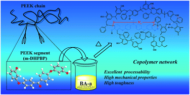 Graphical abstract: Modification of benzoxazine with aryl-ether-ether-ketone diphenol: preparation and characterization