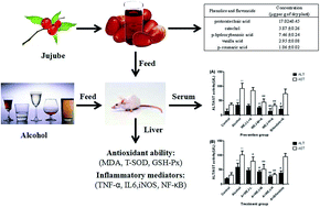 Graphical abstract: Composition, antioxidant activities and hepatoprotective effects of the water extract of Ziziphus jujuba cv. Jinsixiaozao
