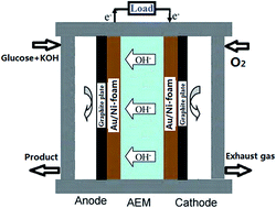 Graphical abstract: An alkaline direct oxidation glucose fuel cell using three-dimensional structural Au/Ni-foam as catalytic electrodes