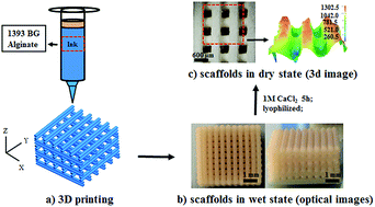 Graphical abstract: 13-93 bioactive glass/alginate composite scaffolds 3D printed under mild conditions for bone regeneration