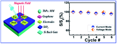 Graphical abstract: Sensitivity enhancement of graphene Hall sensors modified by single-molecule magnets at room temperature