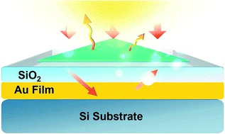 Graphical abstract: Enhanced light–matter interaction of a MoS2 monolayer with a gold mirror layer