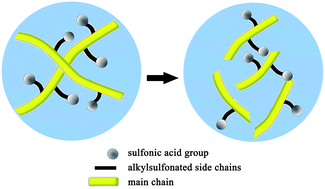 Graphical abstract: Accelerated simulation of the degradation process of poly(arylene ether ketone)s containing alkylsulfonated side chains used as a proton exchange mmembrane