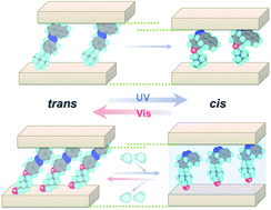 Graphical abstract: Photoinduced structural changes of cationic azo dyes confined in a two dimensional nanospace by two different mechanisms