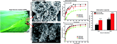 Graphical abstract: Highly effective removal of malachite green from aqueous solution by hydrochar derived from phycocyanin-extracted algal bloom residues through hydrothermal carbonization