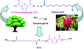 Graphical abstract: Biobased copolyesters: synthesis, crystallization behavior, thermal and mechanical properties of poly(ethylene glycol sebacate-co-ethylene glycol 2,5-furan dicarboxylate)