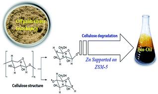 Graphical abstract: Bio-oil production via catalytic solvolysis of biomass