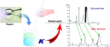 Graphical abstract: Sugaring-out strategy for counter-current chromatography isolation: podophyllotoxins and flavones from Dysosma versipellis as examples