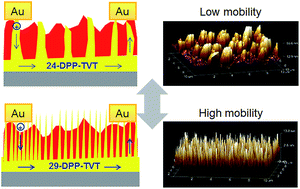 Graphical abstract: Semiconducting/insulating polymer blends with dual phase separation for organic field-effect transistors