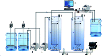 Graphical abstract: Exploring the potential of curcumin for control of N-acyl homoserine lactone-mediated biofouling in membrane bioreactors for wastewater treatment