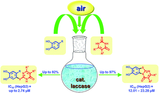 Graphical abstract: Laccase-catalyzed green synthesis and cytotoxic activity of novel pyrimidobenzothiazoles and catechol thioethers