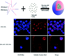Graphical abstract: Efficient cocktail chemotherapy by co-delivery of a hydrogen sulfide-releasing aspirin prodrug and paclitaxel via single nanoparticles