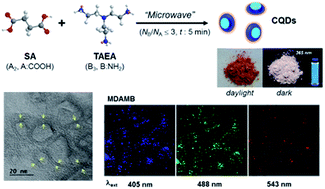 Graphical abstract: Microwave-assisted synthesis of fluorescent carbon quantum dots from an A2/B3 monomer set