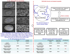 Graphical abstract: Investigation of the influence of Ni(ii) exposure on the simultaneous nitrification and denitrification of aerobic granules from an internal oxygen penetration perspective