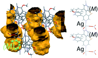 Graphical abstract: Silver(i) coordination polymers with 3,3′,5,5′-tetrasubstituted 4,4′-bipyridine ligands: towards new porous chiral materials