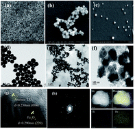 Graphical abstract: Graphene oxide supported titanium dioxide & ferroferric oxide hybrid, a magnetically separable photocatalyst with enhanced photocatalytic activity for tetracycline hydrochloride degradation