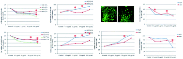 Graphical abstract: Titanium dioxide nanoparticles induce size-dependent cytotoxicity and genomic DNA hypomethylation in human respiratory cells