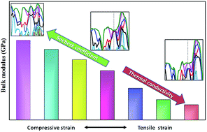 Graphical abstract: Thermoelectric enhancement in sliver tantalate via strain-induced band modification and chemical bond softening