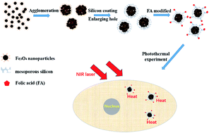 Graphical abstract: Preparation and study of a mesoporous silica-coated Fe3O4 photothermal nanoprobe