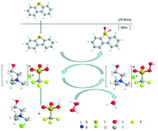 Graphical abstract: Trifluoromethanesulfonic acid-based DESs as extractants and catalysts for removal of DBT from model oil